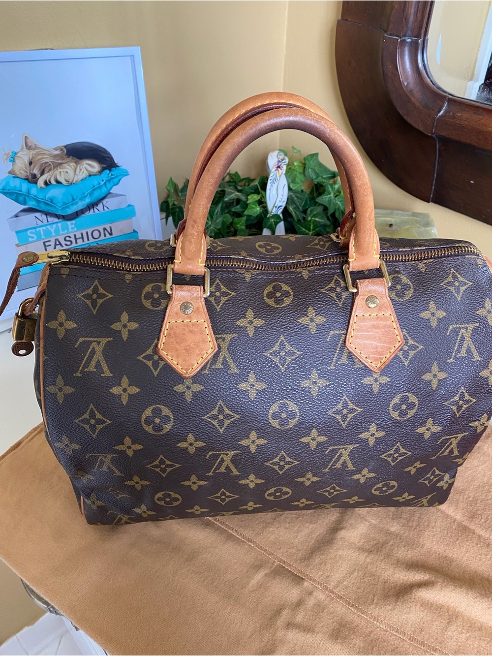 Louis Vuitton Spèedy 30 Monogram Satchel - Picture 14 of 16